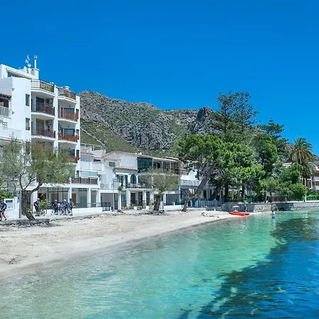 Pine Walk By Vintage Travel