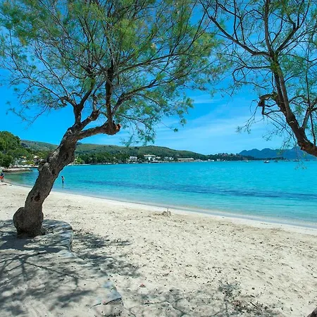 Pine Walk By Vintage Travel * Puerto Pollensa