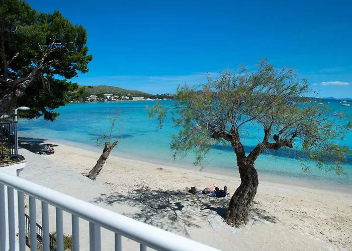 Pine Walk By Vintage Travel * Puerto Pollensa