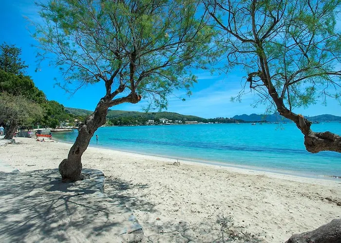 Pine Walk By Vintage Travel * Puerto Pollensa